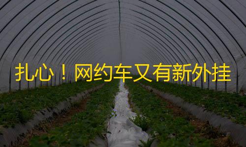 暗区Ray破解直装卡密扎心！网约车又有新外挂了，好单被秒抢�，司机打不过就加入